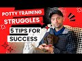 5 tips for puppy potty training