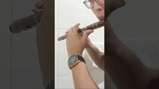 天行九歌 ,師弟突然傳來的譜,好多老師都吹過,來練練 #笛子 #天行九歌 #D