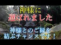 ※見ないと生涯損する龍神動画!10頭以上の小龍と大きな2頭の龍がいるのはここだけの奇跡!【熊本県高森町 草部吉見神社 祭神:國龍命 健磐龍命】Kumamoto pre in Japan