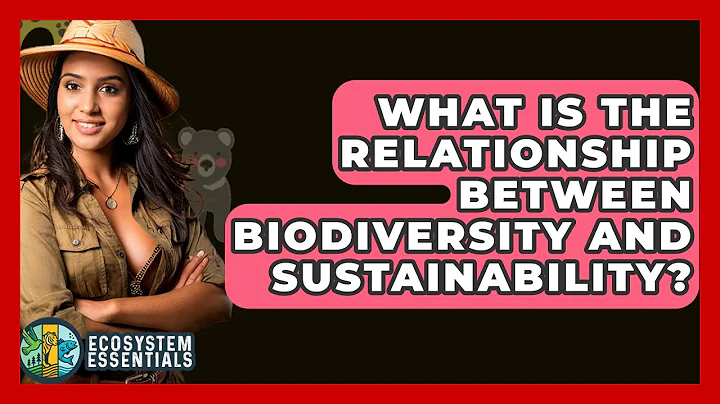 What Is The Relationship Between Biodiversity And Sustainability? - Ecosystem Essentials