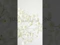 A few of my recent favorite Canva fonts—a mix of light, delicate, and refined styles that are