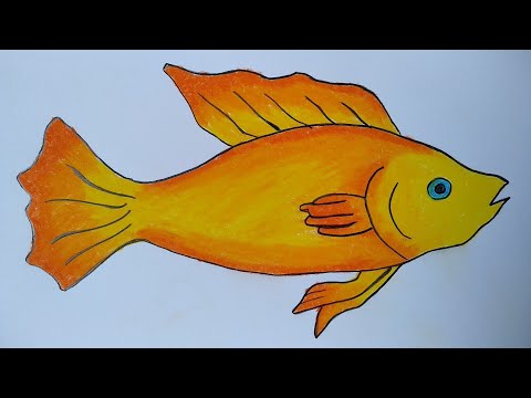 Video: Cara Menggambar Ikan Mas
