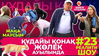 видео:  картинка: