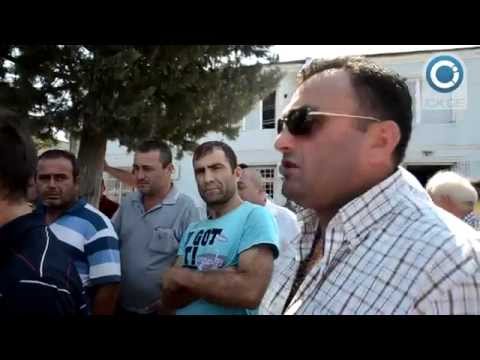 გავაზში მევენახეებმა საპროტესტო აქცია გამართეს