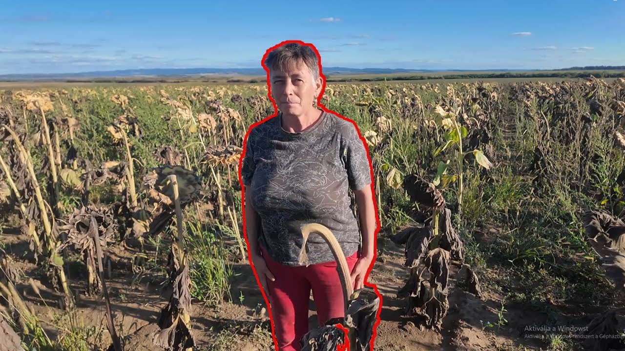 TOLVAJT FOGTAM A NAPRAFORGÓBA!