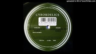 Cybordelics - Adventures Of Dama (Nad's Lab Remix)