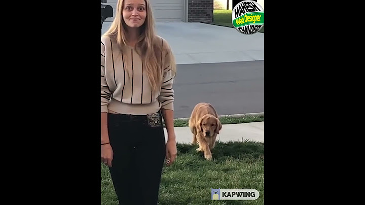 Dog Doesn't Recognize Owner. Dog Meet Owner After Long time.