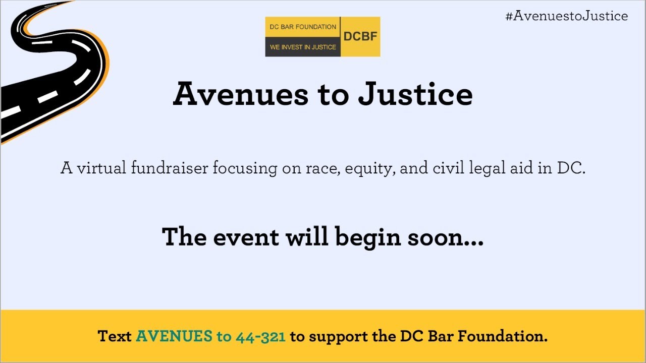 Young Lawyers Network Leadership Council Avenues to Justice YouTube