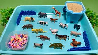 ASMR Animal Toys (Safari &amp; Farm) 🐾 Ultra Satisfying Tapping &amp; Scratching [No Talking]