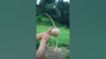 Bamboo creations with Coconut for Arrows #bamboo #slingshot #arrow #diy