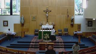Sixteenth Sunday in Ordinary Time, 5:00pm Mass, July 19, 2026, Our Lady of Lourdes, Raleigh, NC
