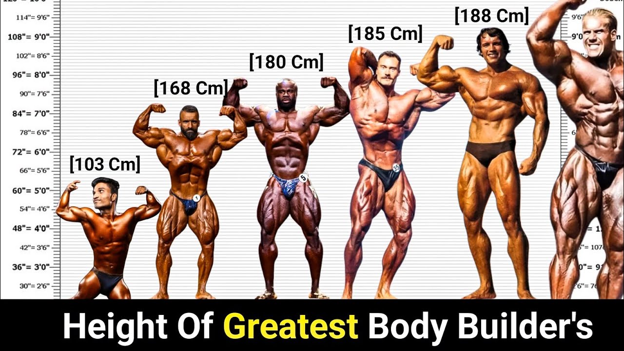Real Height Of Famous Body Builders - YouTube