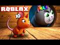 GIOCO AL NASCONDINO DI TOPO VS GATTO SU ROBLOX!!