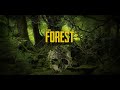 Стрим The Forest #5  сдохни или умри!