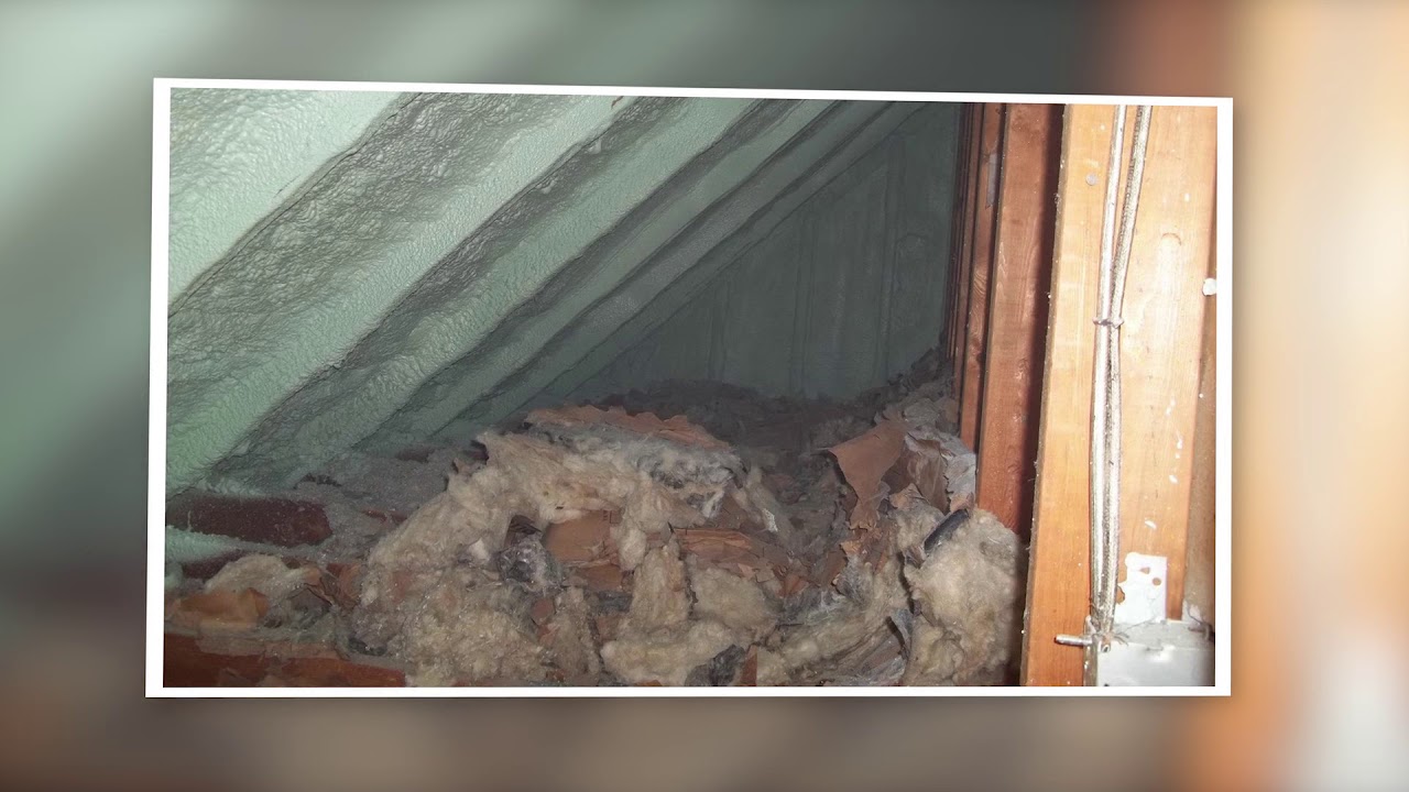Insulation Gurus - Insulation Removal