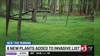 Vt. Agency of Agriculture declares 8 new invasive plants