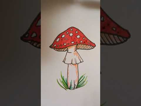 Рисуем мухомор фломастерами