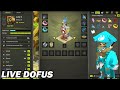 Test de l'Ouginak eau de zéro pour Dofus 3.0