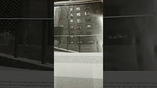 Kool Herc Father of Hip Hop in 1972 in Sedgwick Projects "Archetype" The Prototype of All DJ's Profile