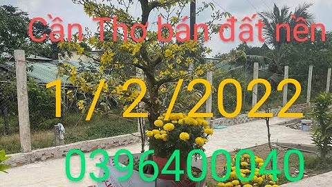 Cần Thơ bán đất nền