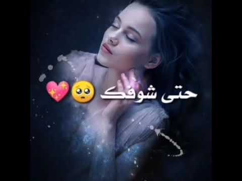 حالات واتس فضل شاكر على حبك قلبي عايش