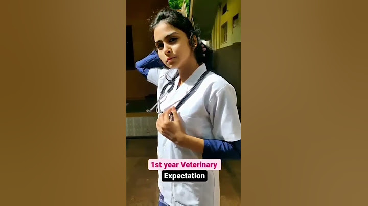 veterinary student status 😂#like it veterinary doctors##shorts video