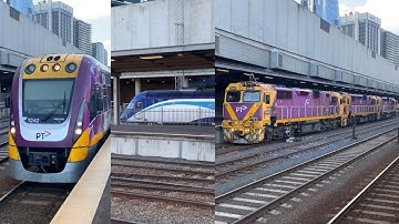 V/Line N463 City of Bendigo, N466 City of Warrnambool & N455 City of Swan Hill Leslie RS5T HORN SHOW