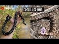 Walking Creeks for Snakes in Metro Atlanta!