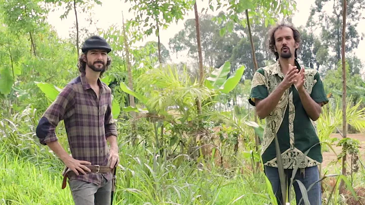 AGROFORESTRY COURSE | Lesson 13, Module 3 - Adapting to a Main Crop | Food Forest COURSE |