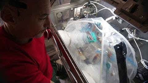 Así se monta un nuevo componente en la Estación Espacial Internacional