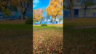 autumn 🍂 is coming in CROATIA 🇭🇷 #kuyarogervlog #autumn #croatia