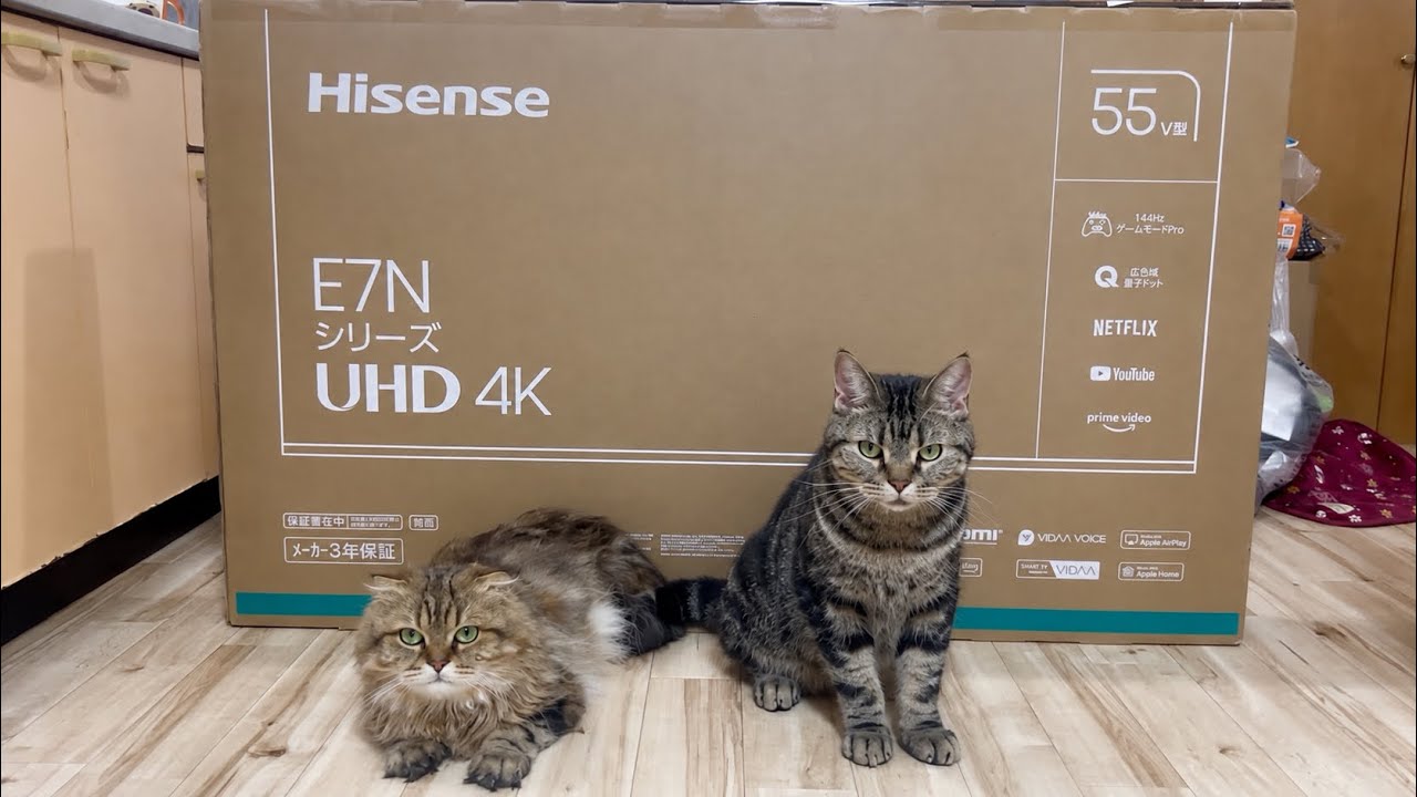 雷でテレビが大破!新品を設置中にイタズラしに来てしまった猫