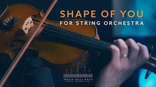Shape of You - Arrangement for String Orchestra - Sheet Music Available!