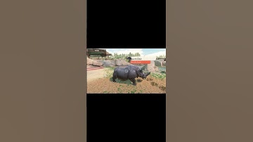 I OPENED My OWN ZOO And Adopted An Animal!