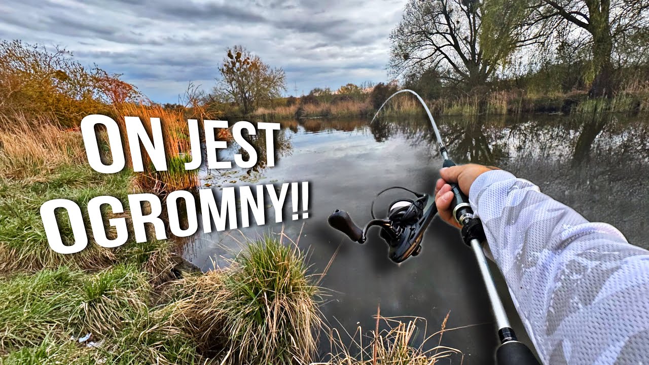 WIELKA RYBA NIE DO ZATRZYMANIA- ZŁOWIŁEM WSZYSTKO CO SIĘ DAŁO!!!