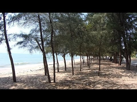 รีวิวหาดสนกระซิบ เที่ยวชมบรรยากาศชายหาดสนกระซิบ ใกล้มาบตาพุด อำเภอเมืองระยอง ระยอง