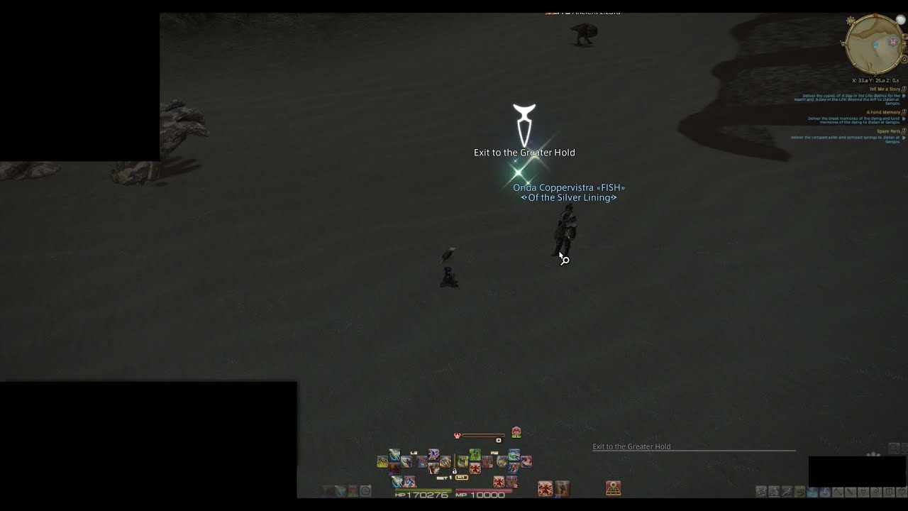 [FFXIV bug] Exit to the Greater Hold - Amh Araeng