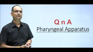 Questions based on pharyngeal arch defects | Embryology