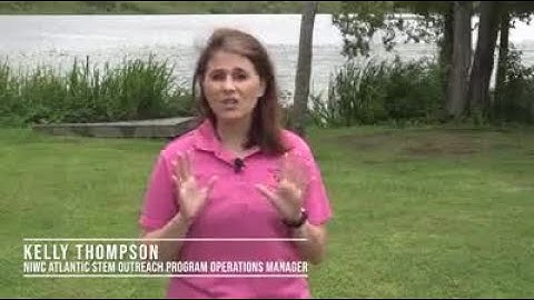 NIWC Atlantic - Palmetto Cybersecurity Camp