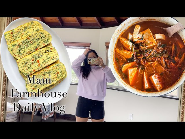 Maui Farmhouse Vlog #7 Kimchi Jjigae, Gyeranmari (Korean Eggroll), Cutting Pineapple, Beach Time | Seonkyoung Longest