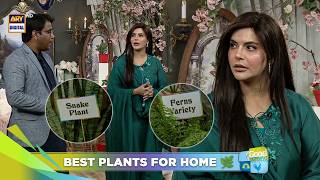 Your Home Needs This: Shocking Benefits of Houseplants 🌿| Nida Yasir | Good Morning Pakistan