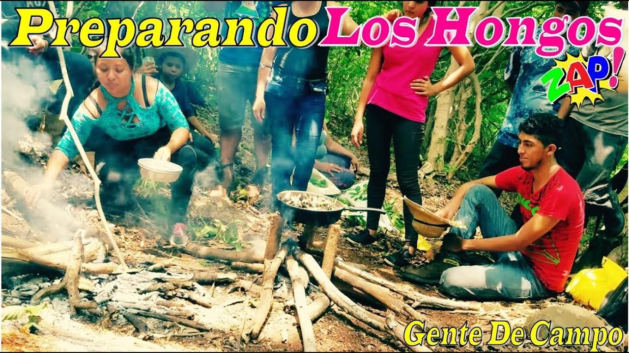 mexicano restaurant PREPARANDO LOS HONGOS QUE ENCONTRAMOS - SOBREVIVIENDO EN EL BOSQUE Parte 22 | EL SALVADOR GO