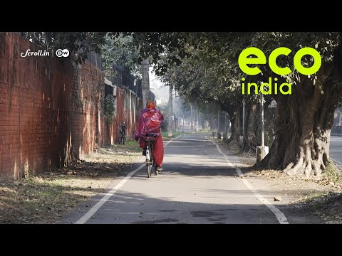 Eco India: What ails Corbusier's Chandigarh?