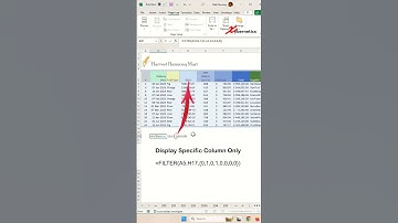 Filter Excel to only show certain columns - Excel Tips and Tricks