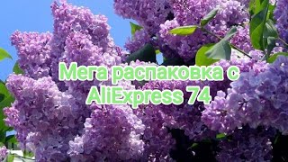 :    AliExpress 74