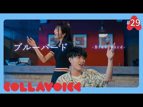 #29 ブルーバード | いきものがかり | Blue Bird | NARUTO | Cover | COLLAVOICE