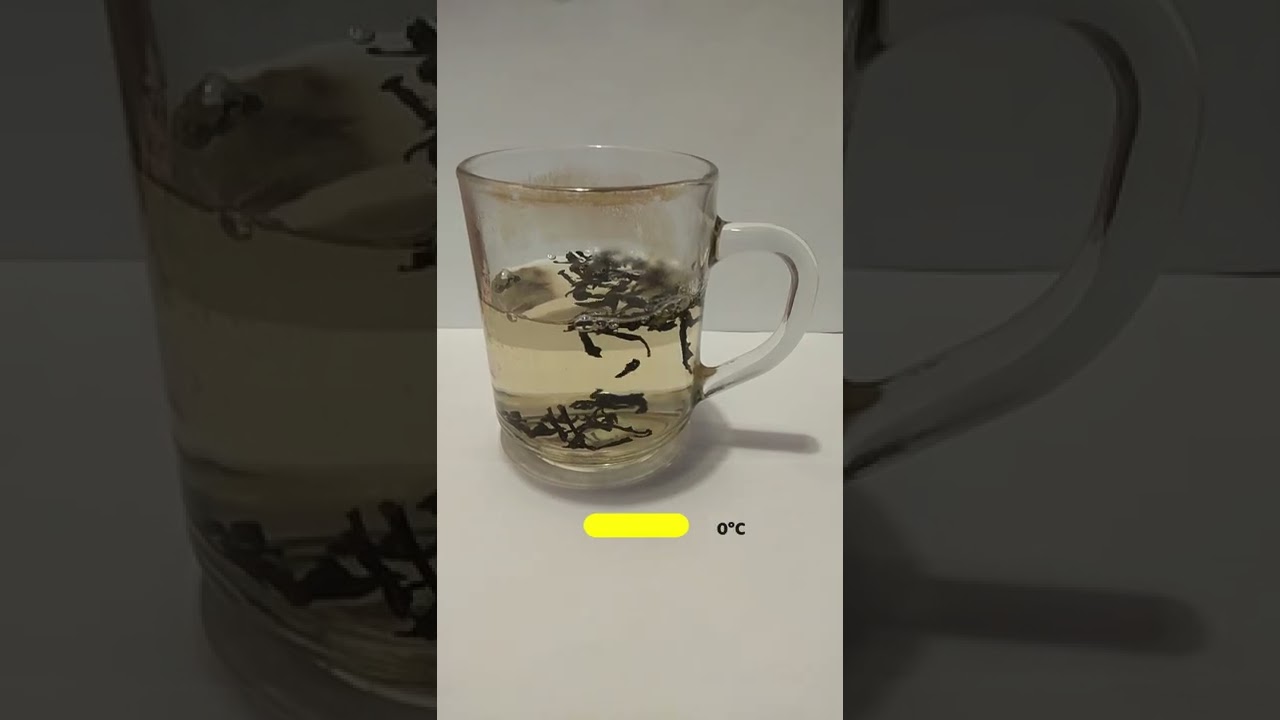 How To Brew Da Hong Pao Tea