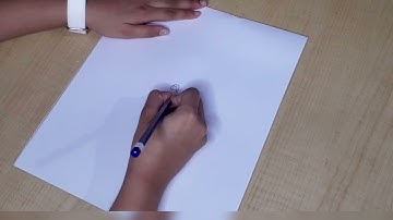 Beautiful rose drawing by jenshi