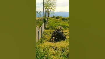 Thumbnail of 02/06/2020  Part 4 Paisajes / Landscapes / пейзажи / Natureza / Nature (Music : @dysc0rdia1    )