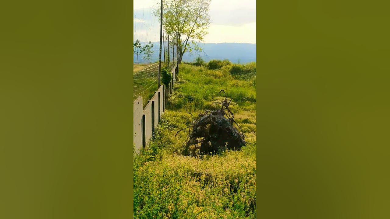 02/06/2020  Part 4 Paisajes / Landscapes / пейзажи / Natureza / Nature (Music : @dysc0rdia1    )
